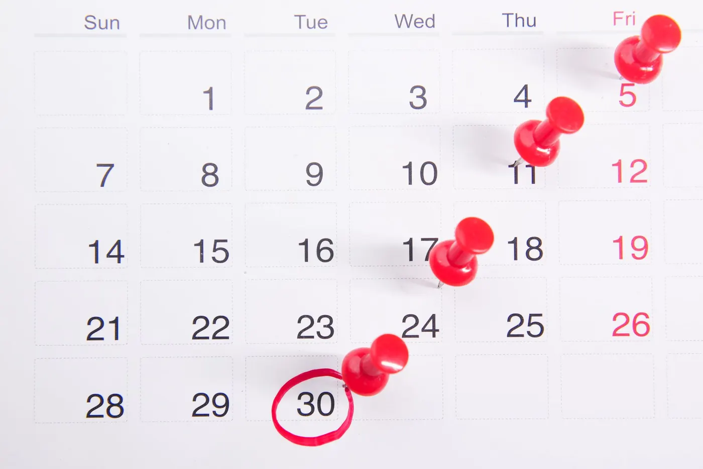 Calendrier, image du rythme d'acquisition de liens