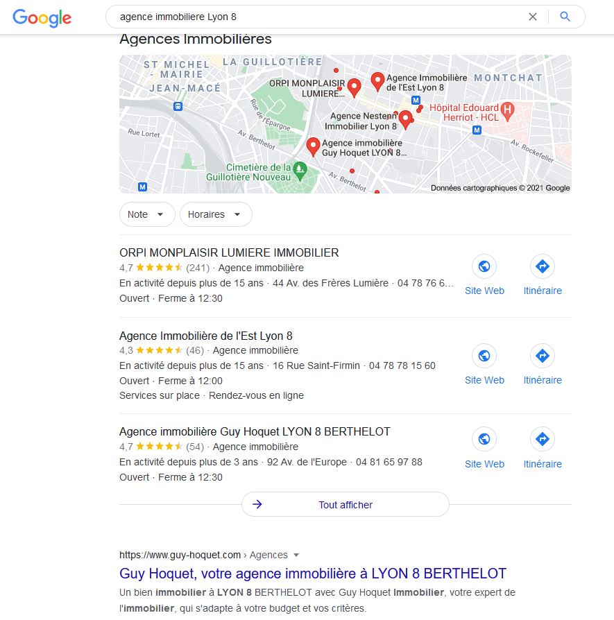 seo local immobilier